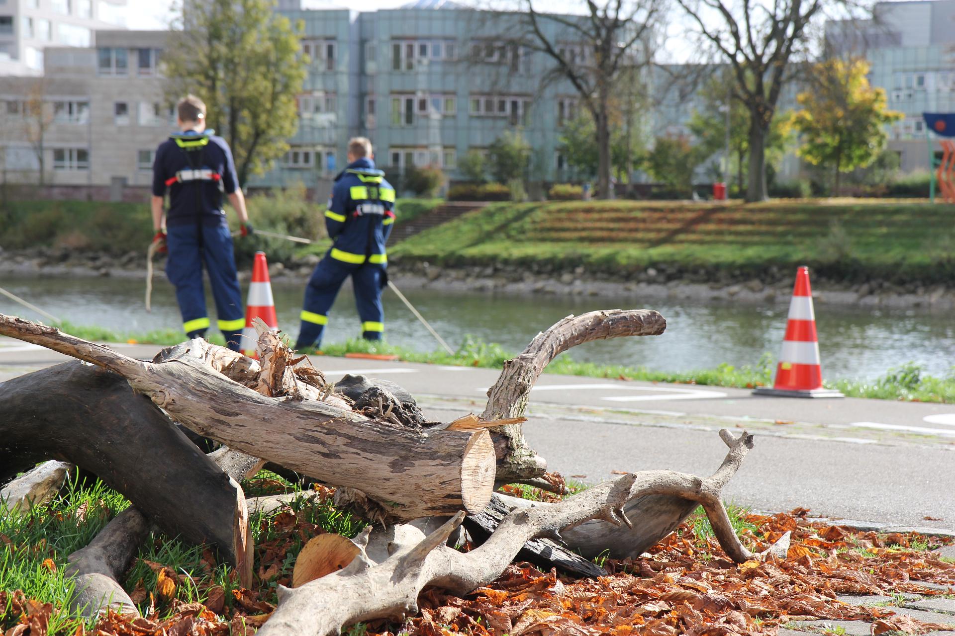 Schwemmholzbeseitigung am Ulmer Donauufer